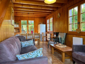 Chalet familial proche des pistes avec WiFi et parking - FR-1-623-349 Les Gets
